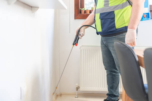 Flea Control Services in Shavano Park, TX